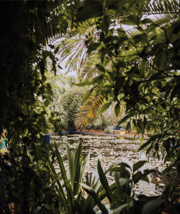 majorelle