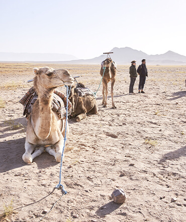 Excursion au départ de Marrakech vers le désert de Zagora