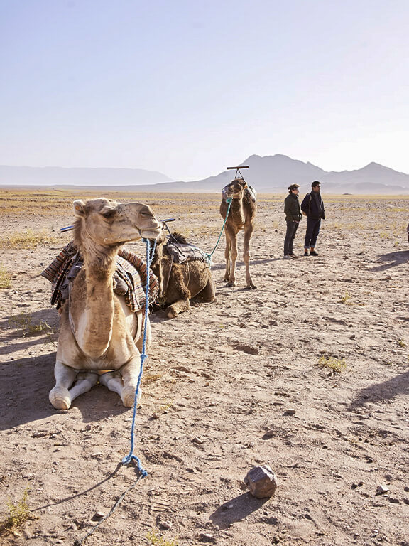 Excursion dans le désert de Zagora